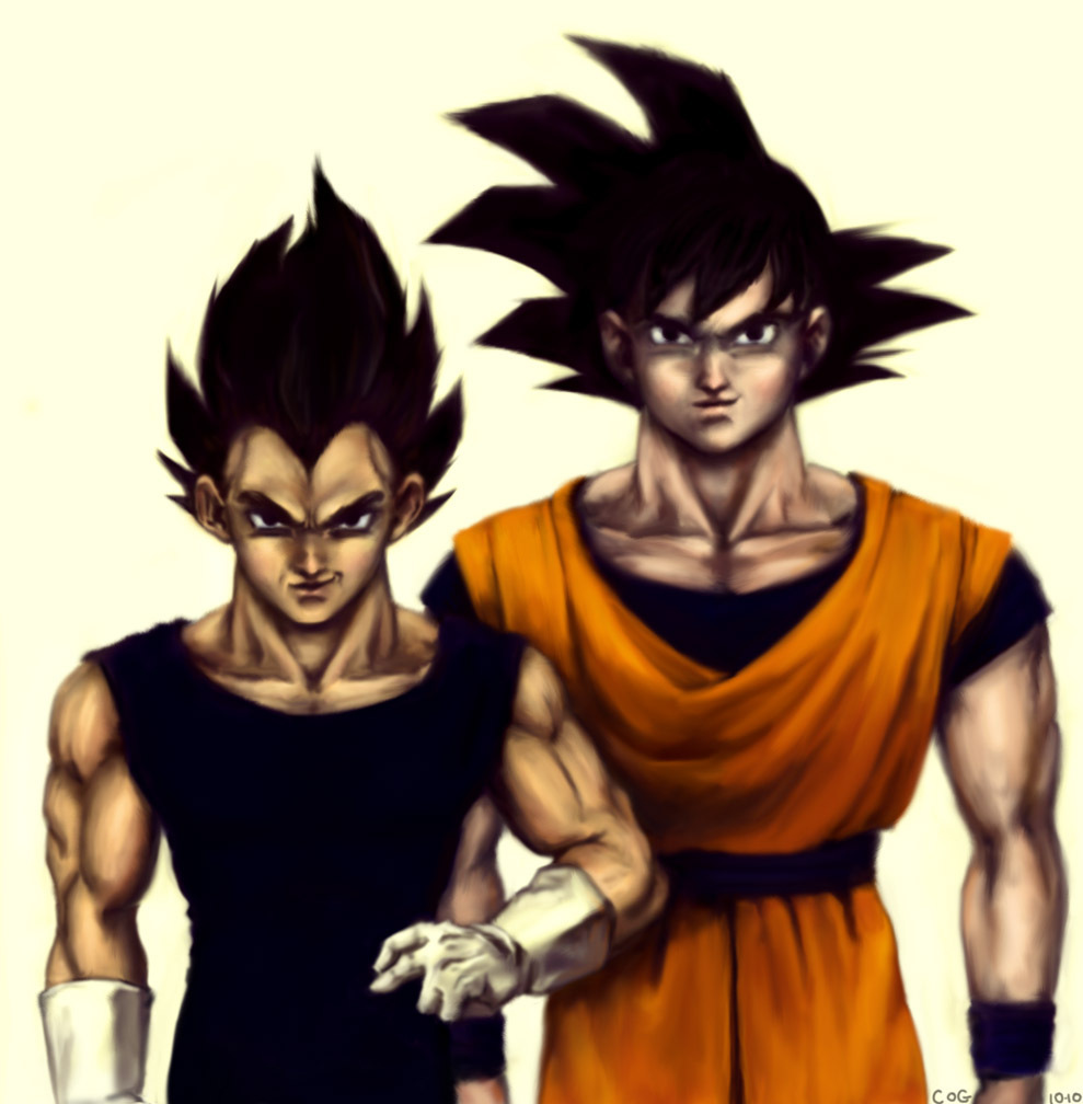 Dragon Ball Z Goku and Vegeta