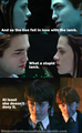 HP vs Twilight - harry-potter-vs-twilight fan art