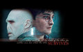 Harry Potter & Voldemort - harry-potter photo