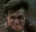 Harry Potter - harry-potter screencap