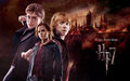 It all ends here - harry-potter photo