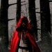 Red Riding Hood - amanda-seyfried icon