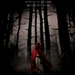 Red Riding Hood - amanda-seyfried icon