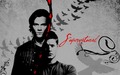 Supernatural Boys :) - supernatural wallpaper