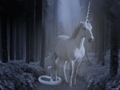The Unicorn and the Serpent - unicorns photo