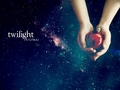 Twilight Christmas! - twilight-series photo