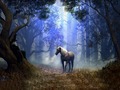 Unicorn Dimensions - unicorns photo