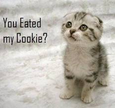  u eated my cookie :(