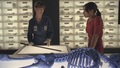 6x05 - The Bones That Weren't - bones screencap