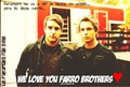 Bye bye farro's brothers  - paramore photo