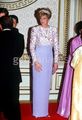 Diana At Banquet - princess-diana photo