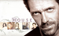 tv-male-characters - Dr Greg House wallpaper