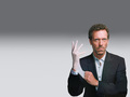 tv-male-characters - Dr Greg House wallpaper