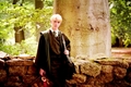 Draco <3 - draco-malfoy fan art