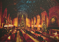 Hogwarts at Christmas time :)) - harry-potter photo