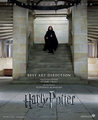 New DH Poster - harry-potter photo
