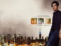 tv-male-characters - Peter Petrelli wallpaper