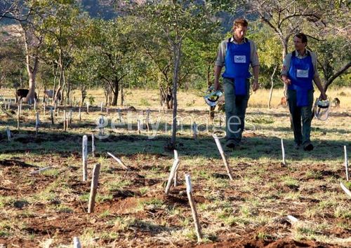  Prince Harry In Mozambique Visits Minefields Cleared da The HALO Trust