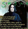 Snape fangirls - harry-potter photo