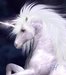 Winter Unicorn - magical-creatures icon