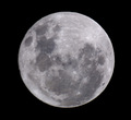 moon - moon photo