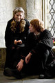 ron and lavender  6th year  eww! hate her - harry-potter-movies photo