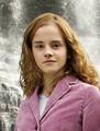super Hermione - emma-watson photo