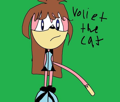  voliet the cat