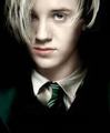 Draco  - harry-potter photo