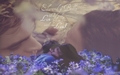 edward-and-bella - Edward and Bella ♥  wallpaper