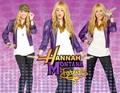 Hannah Montana Wallpaper By Rodrigo Hannah Montana 4'Ever - hannah-montana photo