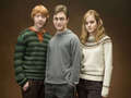 Harry,Ron and Hermione - harry-potter photo
