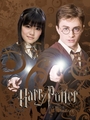 Harry and Cho - harry-potter photo