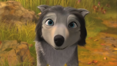  Humphrey the cute young loup again