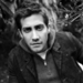 Jake G. <3 - jake-gyllenhaal icon