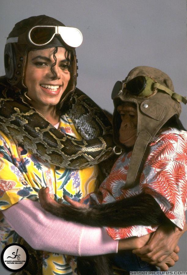 Michael-with-his-monkey-bubbles-and-his-snake-michael-jackson-17913663-612-900.jpg