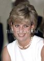 Princess Diana In Argentina - princess-diana photo