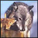 Pups - wolves icon