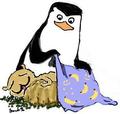 Sweet Dreams, Soldier:) - penguins-of-madagascar fan art