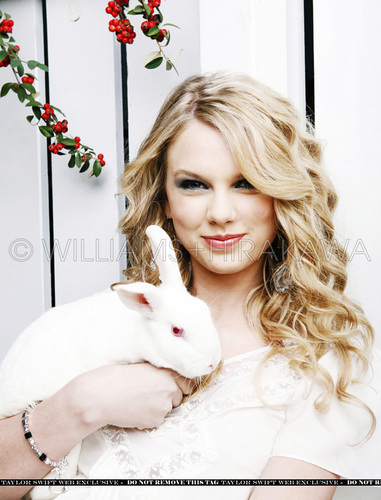 Taylor Swift - Photoshoot #058: Entertainment Weekly (2008)