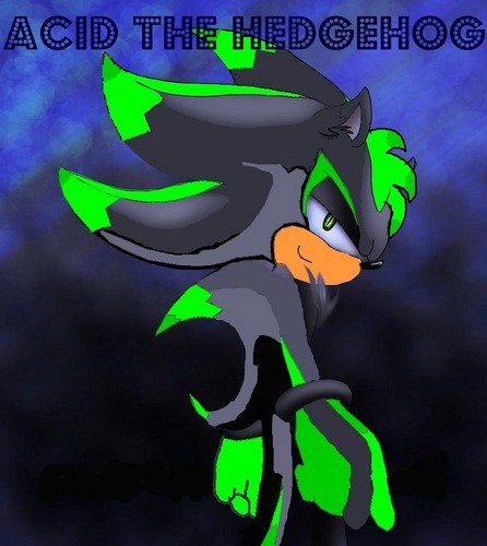 Acid the hedgehog