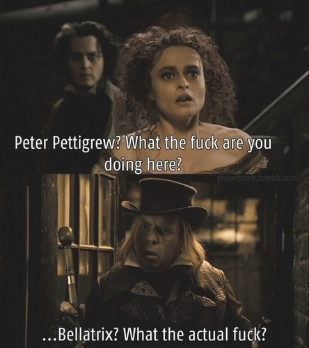 Bellatrix and Wormtail meeting