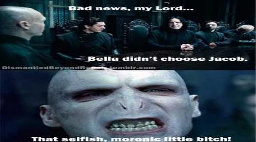  Death Eaters are team jacob