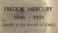 Freddie Mercury - freddie-mercury photo
