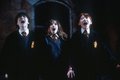 Harry,Ron and Hermione - harry-potter photo