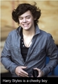 Harry is soo Sexy!!!xxx ;D - one-direction photo