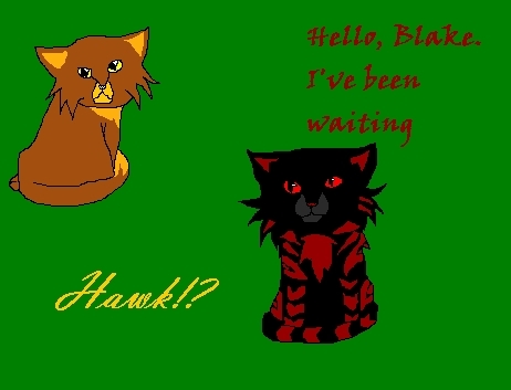  Hawk and Blake