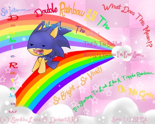  Sonic .:. DOUBLE regenboog .:.