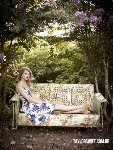  Taylor rápido, swift - Photoshoot #115: Parade (2010)