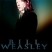 Weasley Family - harry-potter icon